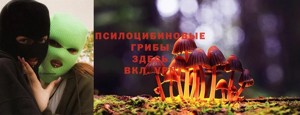 круглые Абаза